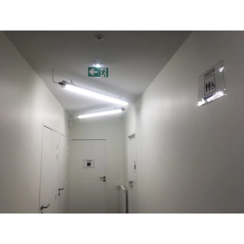 reglette-tubulaire-led-integrees-60cm-23w-ip66-2200-lumens-cct-3000k-4000k