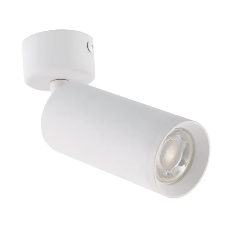Applique plafonnier spot patère orientable zoom optique 10°-50° culot gu10