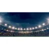 Projecteur led 500W ip65-4000k-symétrique-60000 lumens sportif