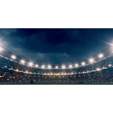 Projecteur led 1000W ip65-4000k-symétrique-122000 lumens sportif