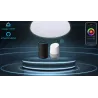 plafonnier-applique-wifi-rgb-cct-dynamique-connecte-smartphone-alexa-google-