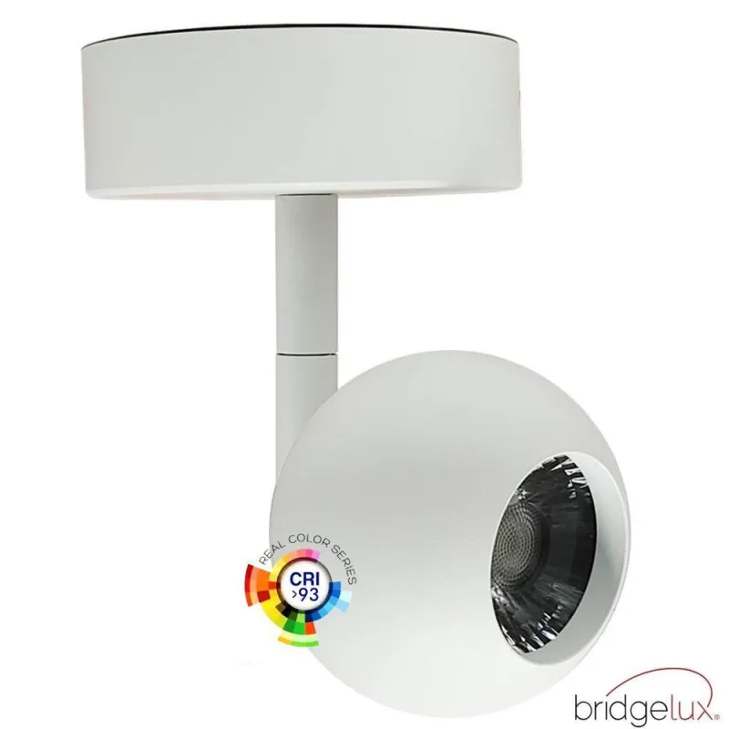 applique-plafonnier-led-cct-pateres-spot-orientable-12w-1200-lumens-irc-93