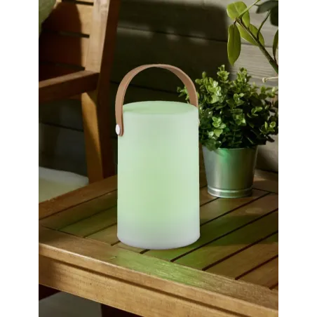 TRIO Lampe de table extérieur blanc ARUBA - Pas cher