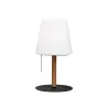 NORTHERN lampe à poser, Opal / bois