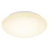 BASIC LED  Plafonnier diam.38 24W opal 3-step