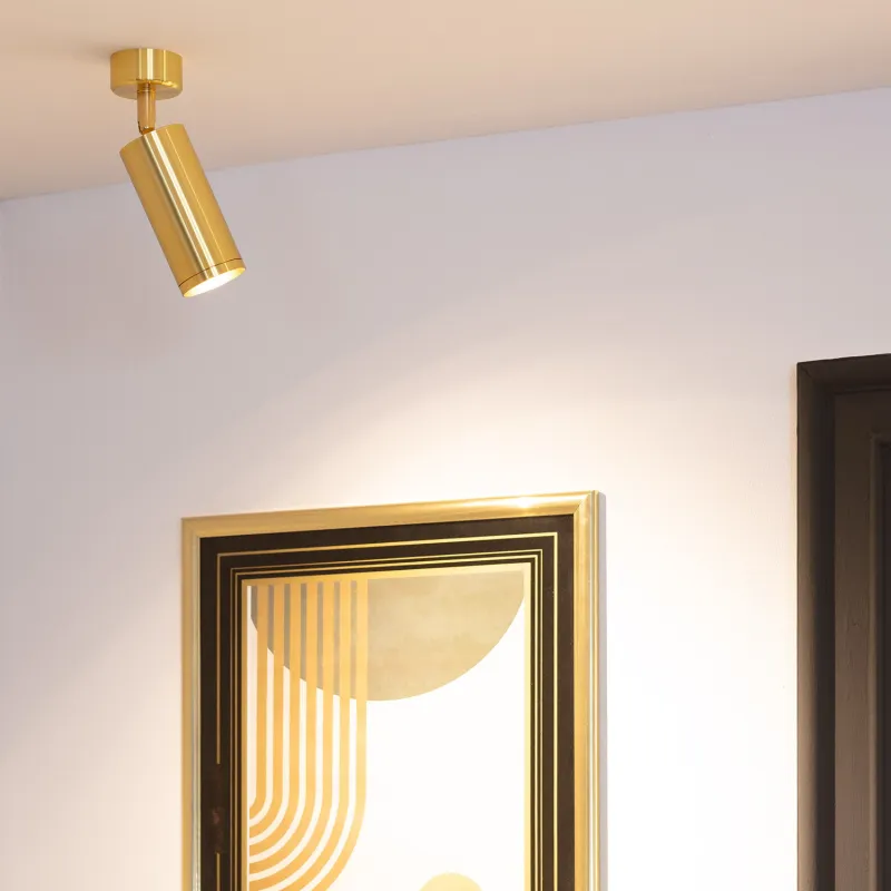 applique-murale-ou-plafond-spot-patere-orientable-dore-culot-gu10