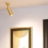 applique-murale-ou-plafond-spot-patere-orientable-dore-culot-gu10