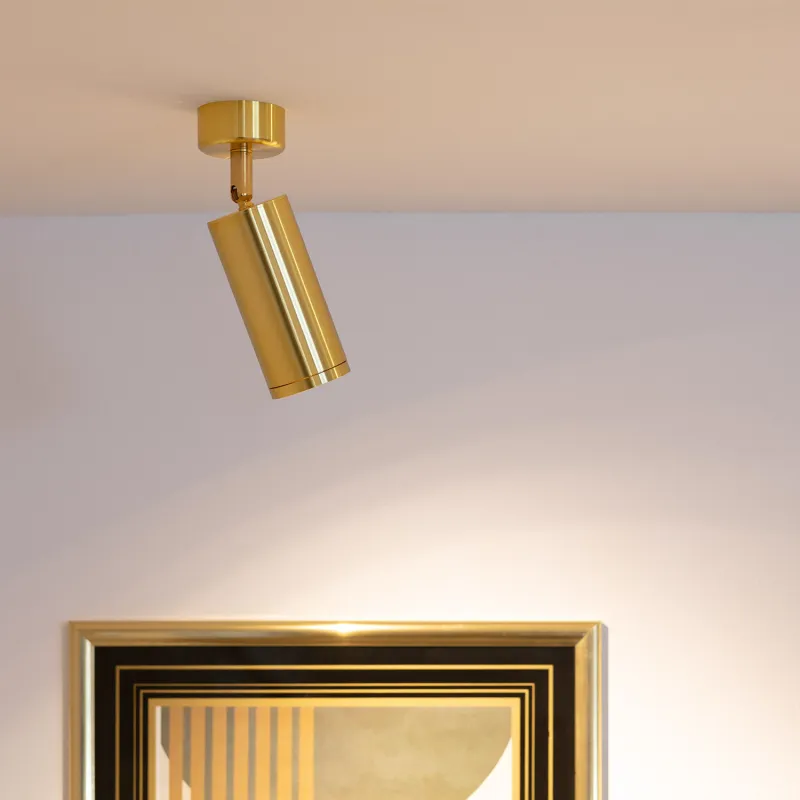 applique-murale-ou-plafond-spot-patere-orientable-dore-culot-gu10