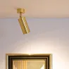 applique-murale-ou-plafond-spot-patere-orientable-dore-culot-gu10