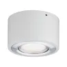 WallCeiling Argun LED 1x4,8W Blanc Alu brossé 230 V, métal - Pas cher