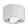 WallCeiling Argun LED 1x4,8W Blanc Alu brossé 230 V, métal - Pas cher