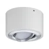 WallCeiling Argun LED 1x4,8W Blanc Alu brossé 230 V, métal - Pas cher