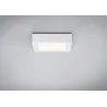 WallCeiling Lunar LED Panel 170x170mm 11W 230V blanc mate alu - Pas...