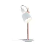 Neordic Haldar lampe de table max 1x20W E14 Blanc/Cuivre mat 230V M...