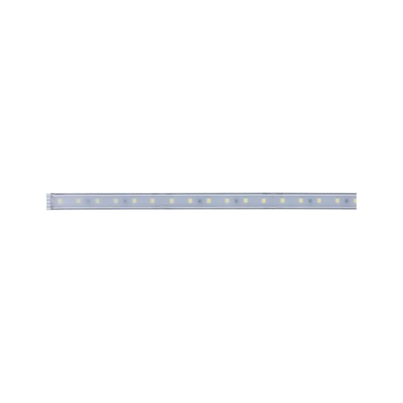 Function MaxLED 500 ruban 1 m Blanc lumi ère du jour 6 W 24 V Argen...