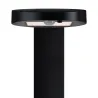 borne-balise-potelet-solaire-80cm-detecteur-de-mouvement-3000k-100lm