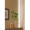 Function YourLED Stripe 3m blanc chaud 7,5W 12V DC blanc plastique ...