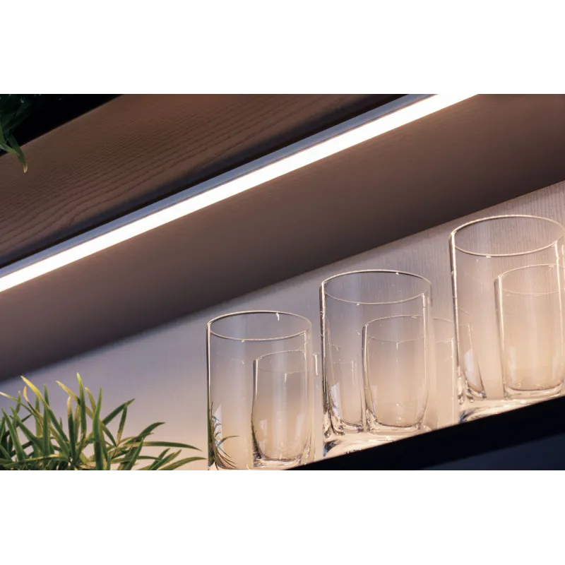Prof base Function avec diff 100cm Alu anodisé/satin alu/plastique ...