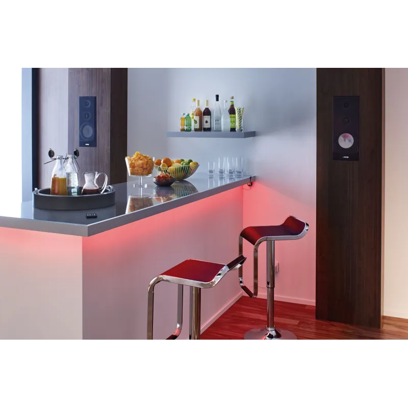 Capteur sonore RGB Function YourLED 12V DC max.60W Noir / Synthétiq...