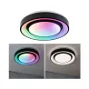 Applique/plafonnier Rainbow Dynamic RGB Tunable White LED 350mm Blanc/Noir 230V Synthétique/Métal