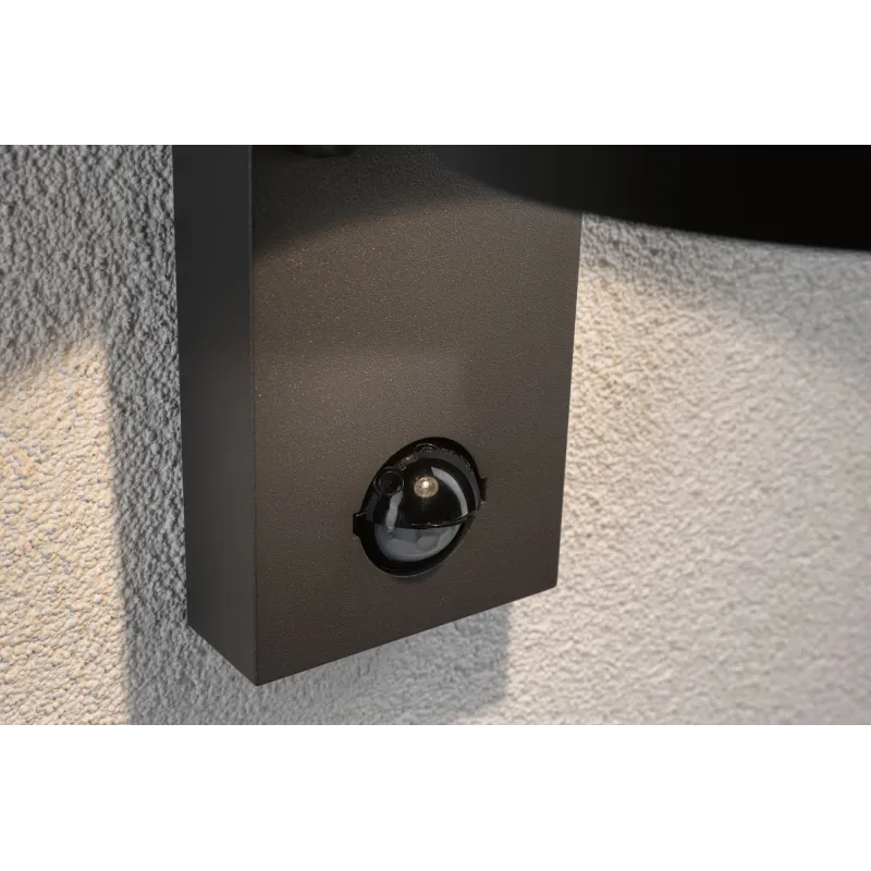 Applique extérieur 230V Capea détecteur de mouvement