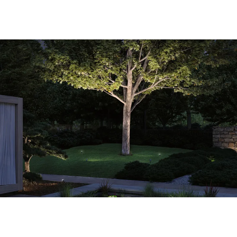 Plug Shine Spot extérieur
