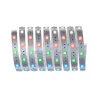 Strip MaxLED 250 2,5m RGBW