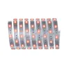Strip MaxLED 250 2,5m RGBW