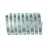 Strip MaxLED 250 2,5m RGBW