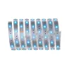 Strip MaxLED 250 2,5m RGBW