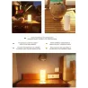 lampe-portable-rechargeable-dimmable-change-de-couleur-du-blanc-chaud-au-blanc-froid-2700k-5500k