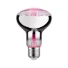 LED fil Plant R80 E27 6,5W