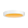 Carpo Panneau LED WarmDim