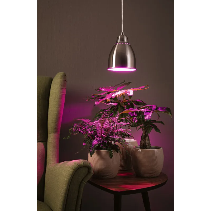 Hilla Suspension max1x40W E27