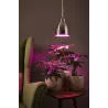 Hilla Suspension max1x40W E27