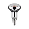 LED fil Plant R50 E14 6,5W