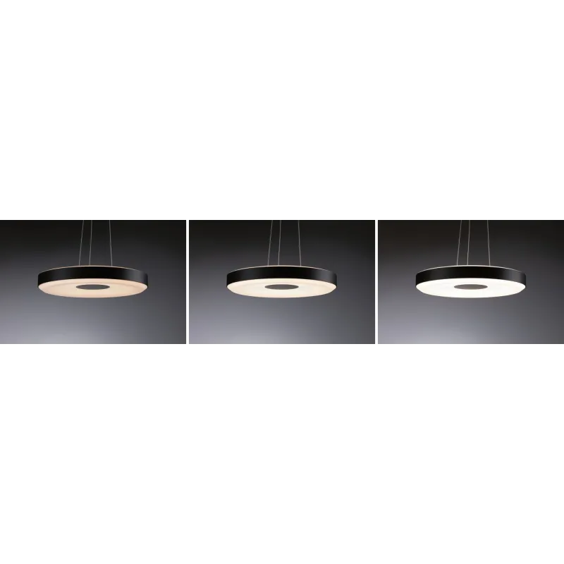 Suspension Puric Pane II LED 22W 400mm 3Stepdim Noir/Gris 230V Mét/syn