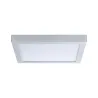 Pann Abia 22W 300x300mm Chrome-dépoli 4000V 230V plastique