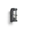 Applique Lug IP54 E27 MAX 18W DIF. Fume anthracite
