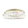 Bandeau LED 6000K 5 m 30 LED/m 36W IP20 - 24V