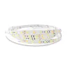 Bandeau LED 6000K 5 m 60 LED/m 62W IP20 - 24V - GARANTIE 5 ANS