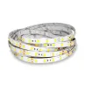 Bandeau LED 6000K 5 m 60 LED/m 62W IP65 - 24V - GARANTIE 5 ANS