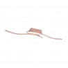 new