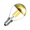 remplacement ampoule standard halogene