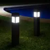 borne-solaire-60cm-potelet-a-fixer-led-2w-ip54-jardin-3000k-110-lumens