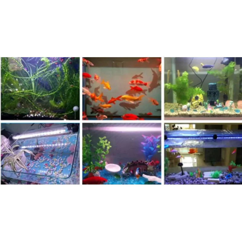 eclairage-aquarium-kit-reglette-led-couleurs-etanche-ip67-submersible-