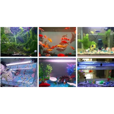 eclairage-aquarium-kit-reglette-led-couleurs-etanche-ip67-submersible-