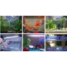 eclairage-aquarium-kit-reglette-led-couleurs-etanche-ip67-submersible-