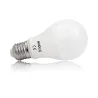 LED 12 W BULB E27 6000 K BOITE