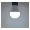 LED 12 W BULB E27 6000 K BOITE